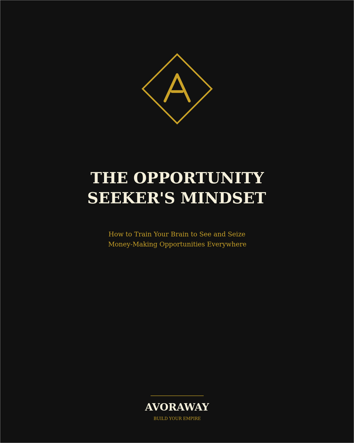 The Opportunity Seeker's Mindset